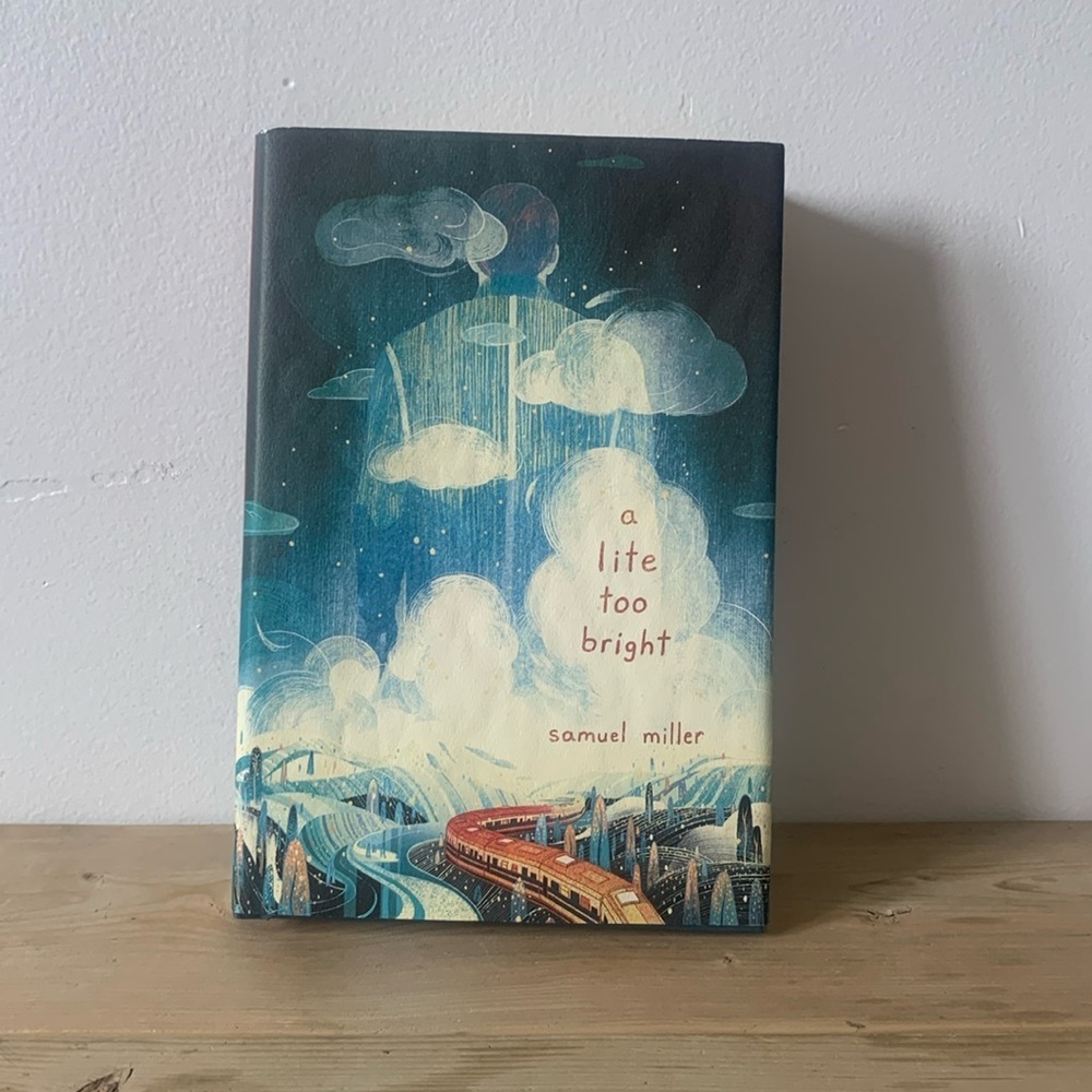 SIGNED First Edition A Lite Too Bright Hardcover Book
